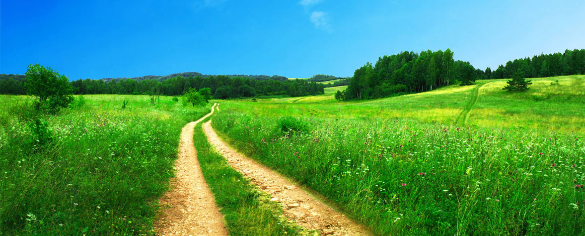 Open green land with a dirt track heading into the distance